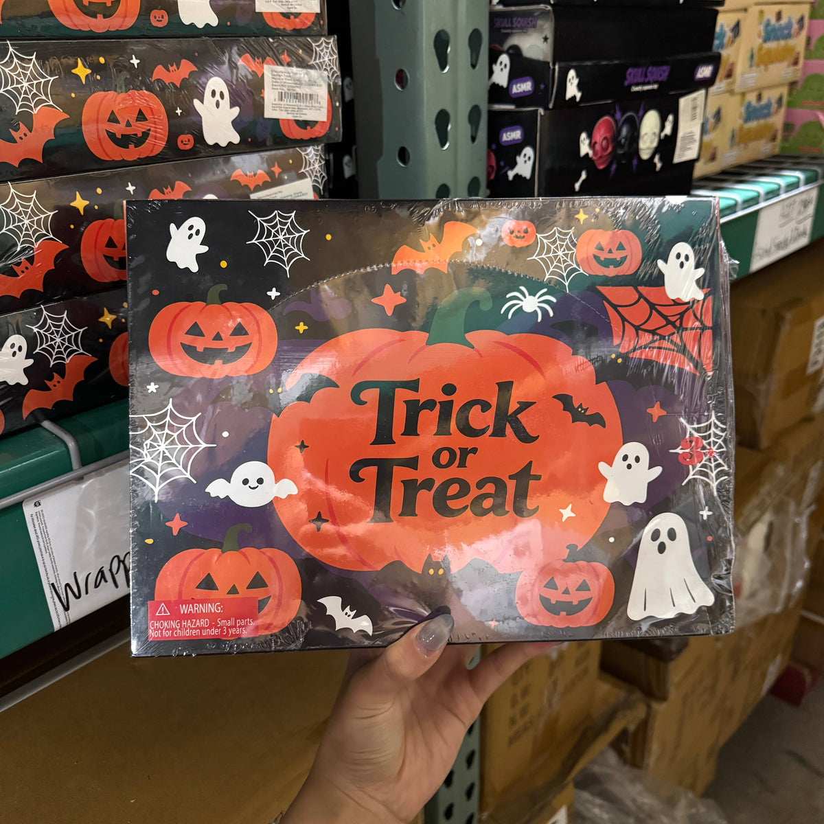 Mystery Halloween Spooky Friend Squishy