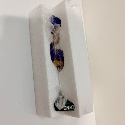 2010 Chris Petersen Boise State Broncos Coach Bobblehead Jacksons Blue Bunny NIB