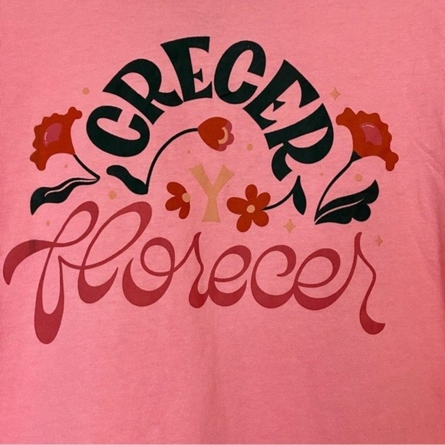 JZD Target Women’s Crecer Y Florecer Short Sleeve Graphic Tee Pink NWT