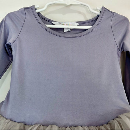 I Love Plum Toddler Girls Long Sleeve BFF Tutu Dress Grey Size 4Y EUC Girly Cute
