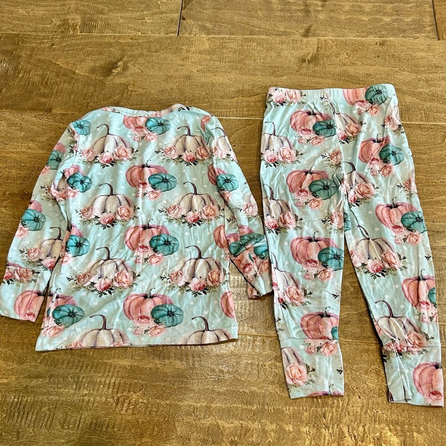 Posh Peanut Girls Jackie Soft Fall Pumpkin Loungewear Pajama Set Blue 2T EUC