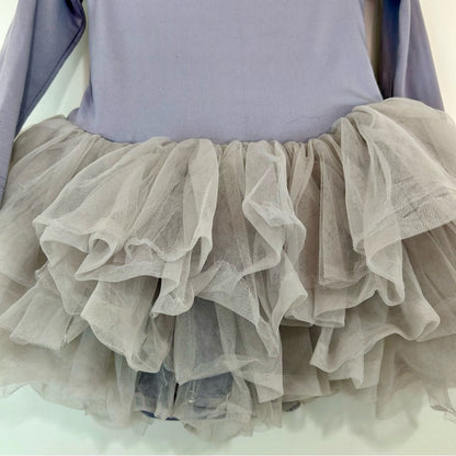 I Love Plum Toddler Girls Long Sleeve BFF Tutu Dress Grey Size 4Y EUC Girly Cute